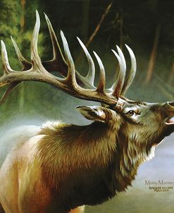 Elk In Mist