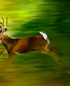 Running Deer