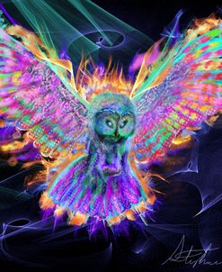 Electric Owl 2