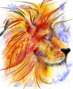 Lion (2)