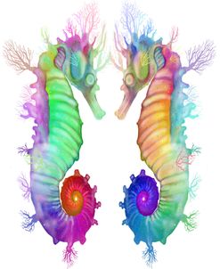 Two Seahorse