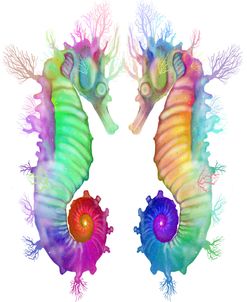 Two Seahorse