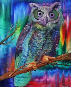 Rainbow Owl