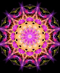 Purple 1