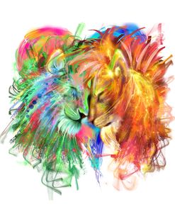 Lion Love