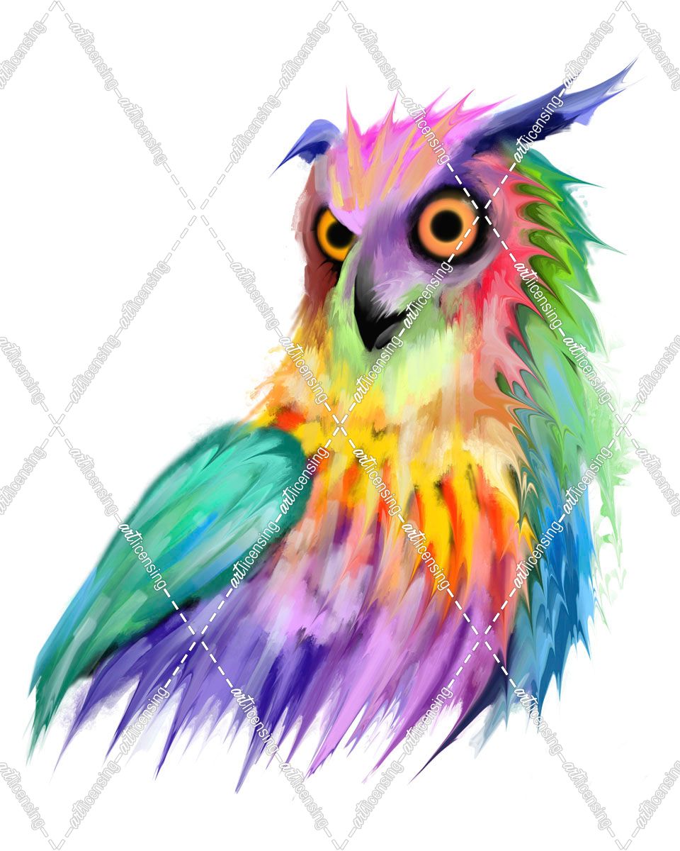 Rainbow Owl 2