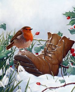 Robin on Boot