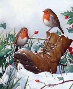 Robins on Boot