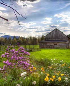 Spring Barn