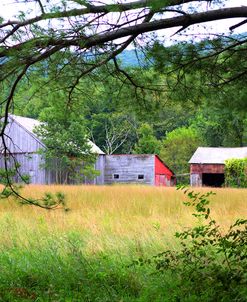 Beyond The Battenkill