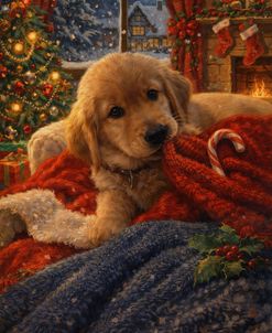 Christmas Golden