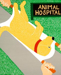 Animal Hospital Yellow