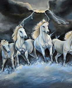 Thundering Horses