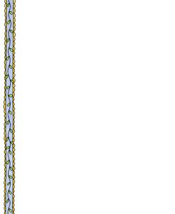 SD207 – Border