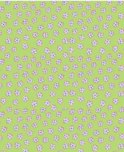 SD149 – Pattern