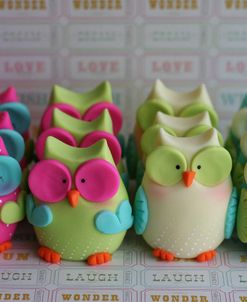 Owls Multi Color Brights Large Set