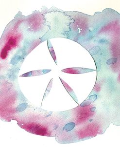 Watercolor Sand Dollar