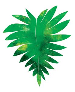 Palm Leaf 1