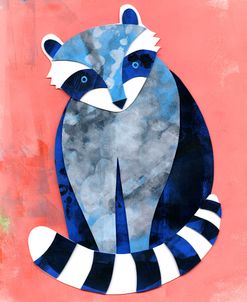 Racoon