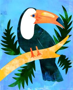 Toucan