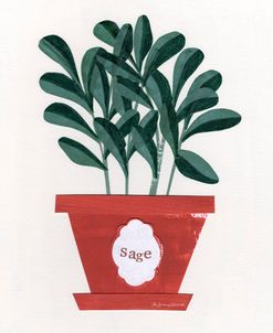 Sage Plant