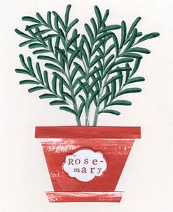 Rosemary Plant