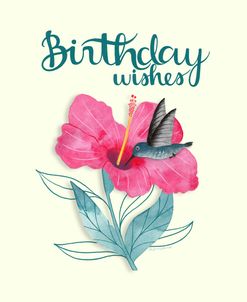 Birthday Wishes