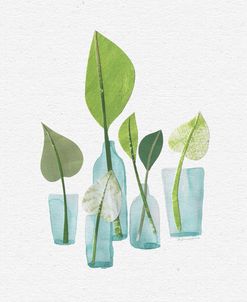 Glass Bottles
