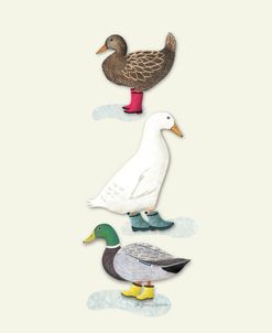 Ducks In Rain Boots