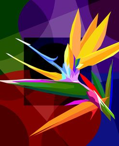 Bird Of Paradise 001