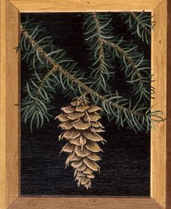 Pine Cone A