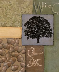 White Oak