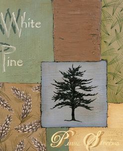 White Pine