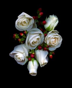 White Roses Red Berries