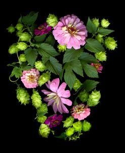 Hops With Zinnias