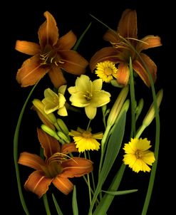 Lilies & Coreopsis