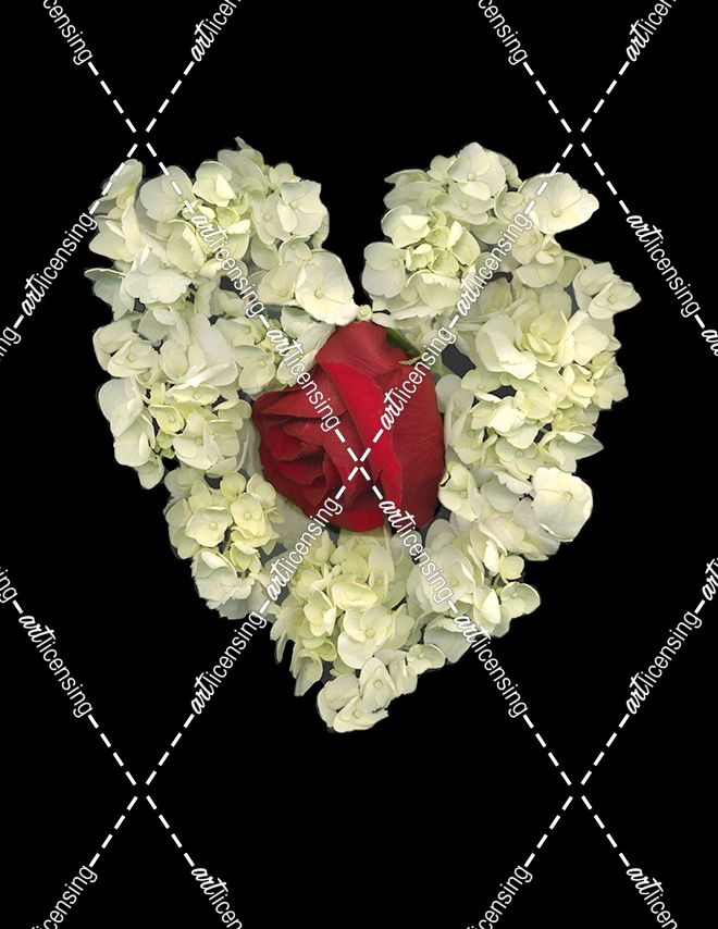 Heart And Flower
