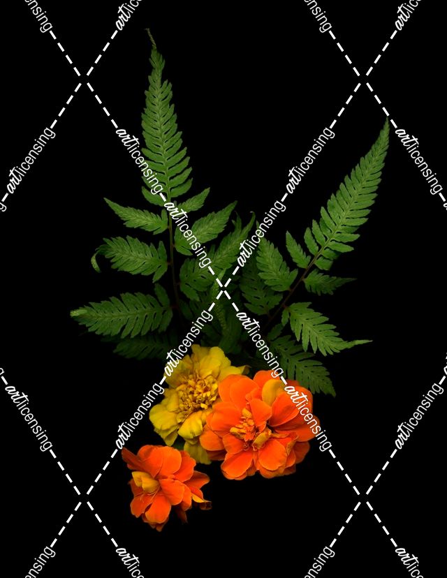 Ferns & Marigolds