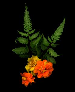 Ferns & Marigolds