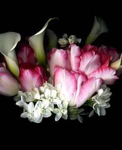 Callas, Tulips & Paperwhites #3