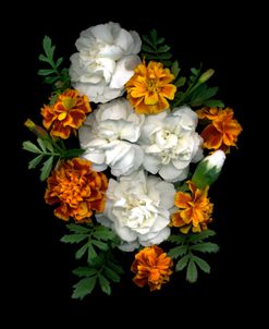 Marigolds And Carnations