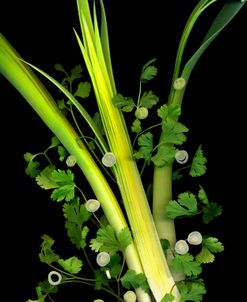 Leeks, Cilantro & Scallions