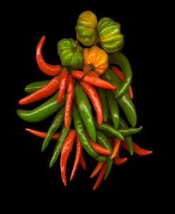 Hot Peppers #3