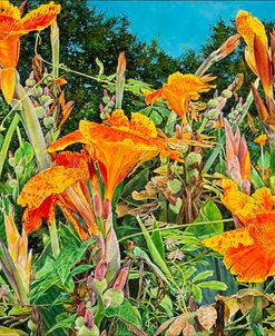 Canna Jungle