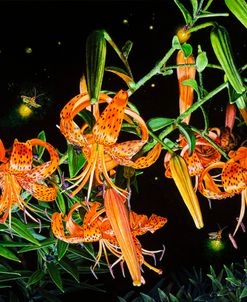 Tiger Lillies And Friends