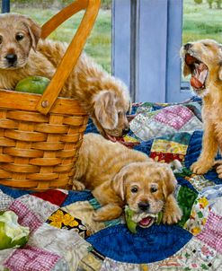 Puppies In A Basket