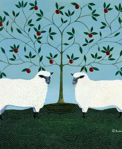 Orchard Sheep