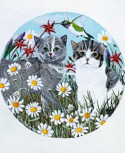 Garden Kittens