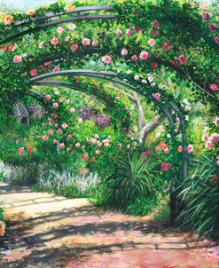 Rose Garden Arches