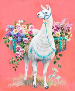 Llama Mama